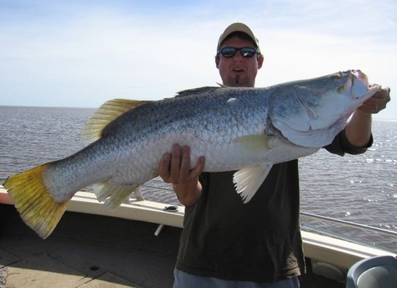 A Barramundi